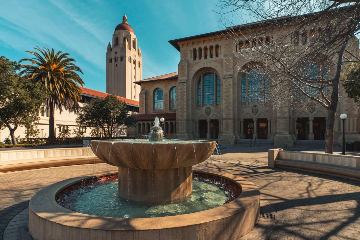 Stanford University